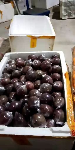 龙岩紫香一号百香果 50 - 60克 
