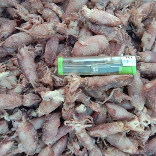 滨州籽乌干 蛤蜊肉干 海兔子