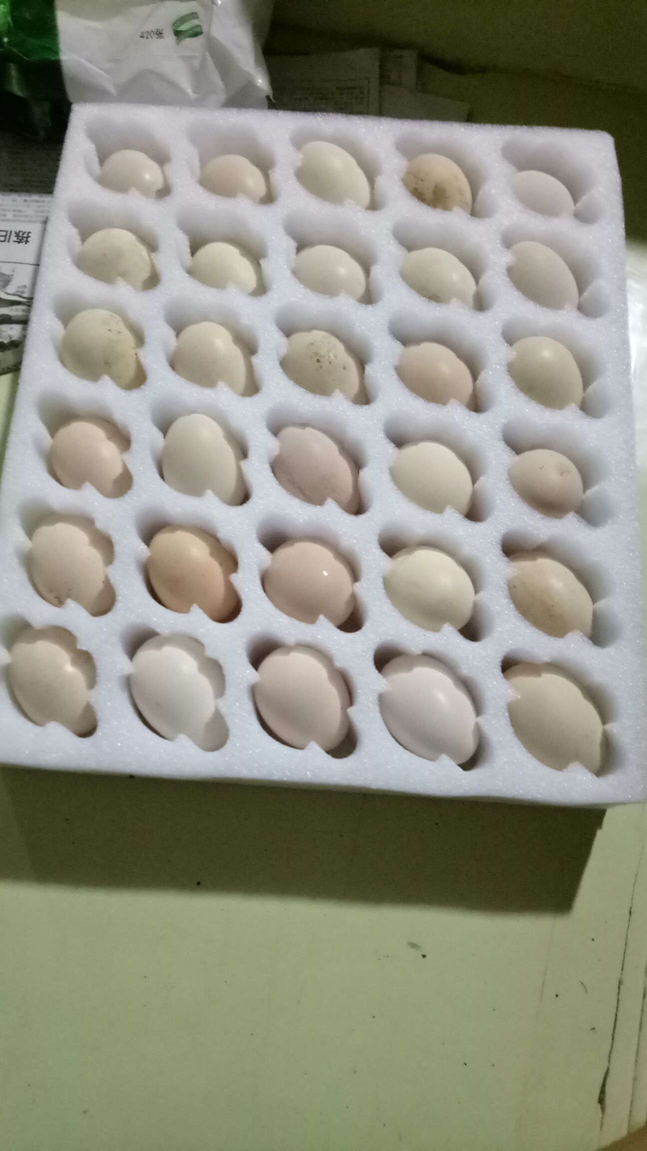 桂林凤鸡 2-3斤 母 