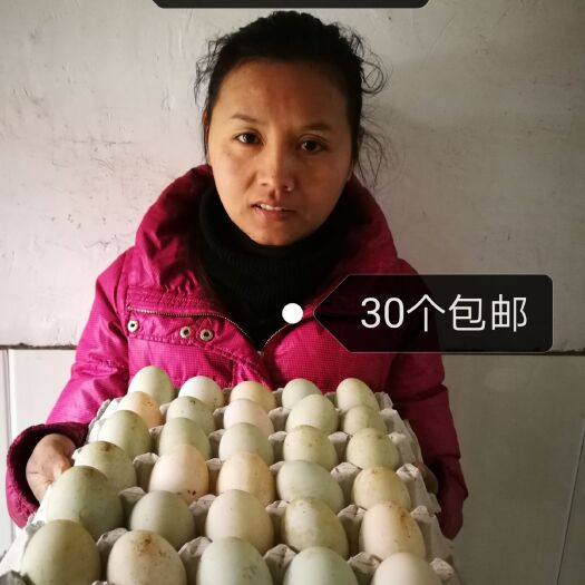 洞口县土鸭蛋 食用 箱装 