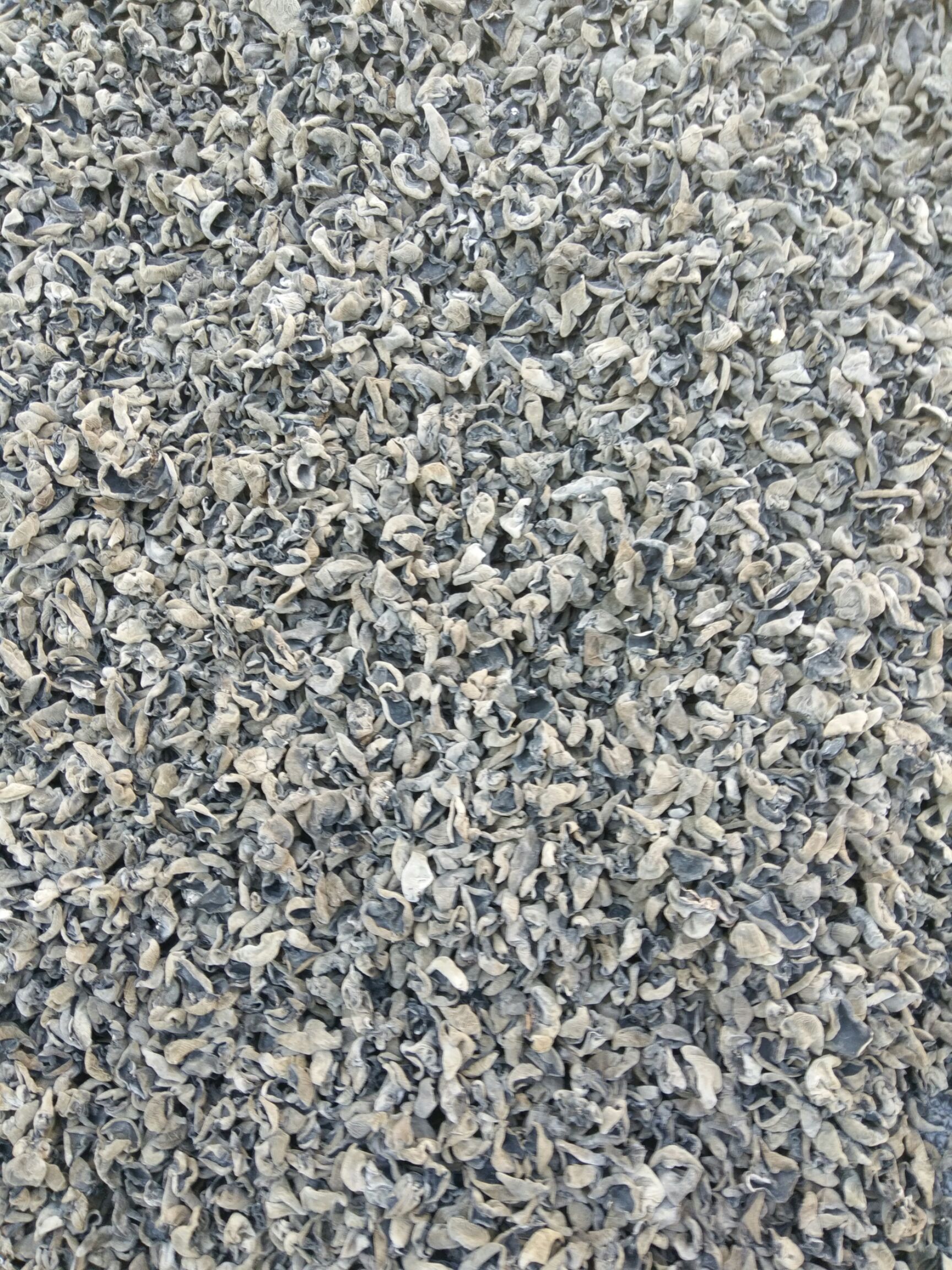 黑木耳 干木耳 一级 