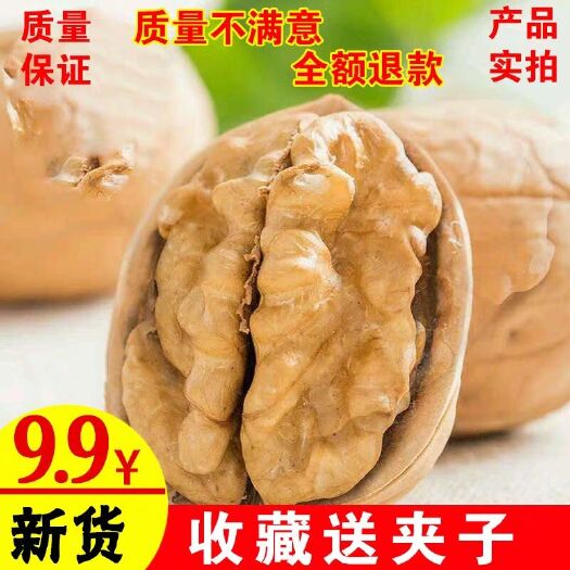 涉县棉核桃 