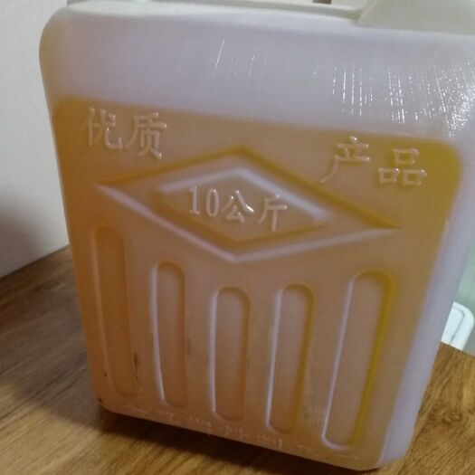 天峨县现榨山茶油