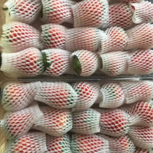 庄河市红颜草莓 20克以上 