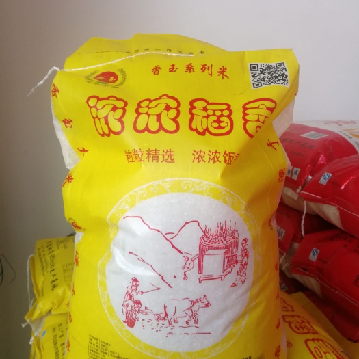 滦南县圆粒大米 一等品 一季稻 粳米 
