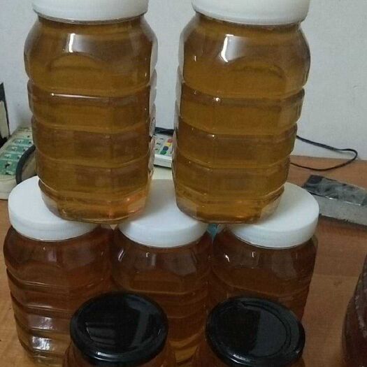 浦北县土蜂蜜 塑料瓶装 2年 98% 