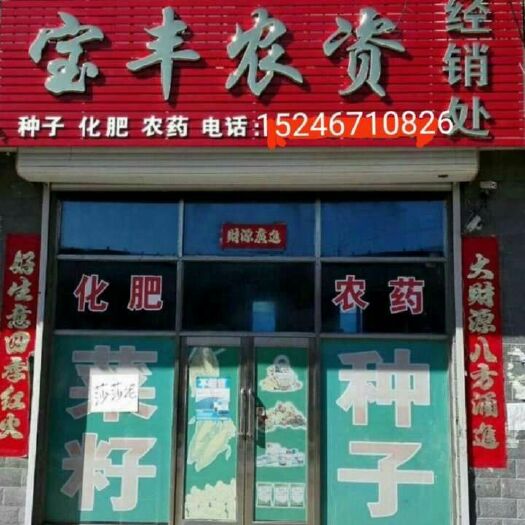 通河县五味子  我有1000多斤