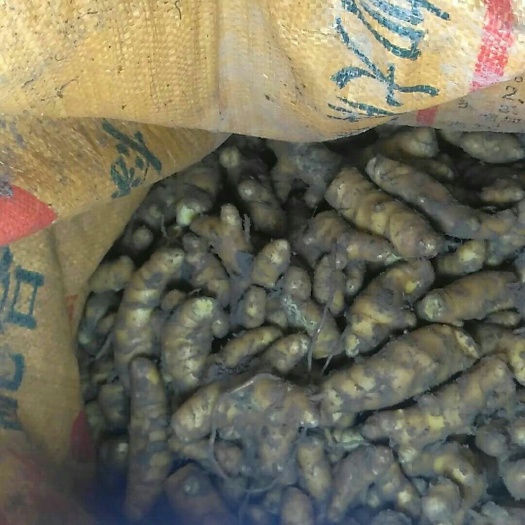 漳平市郁金 