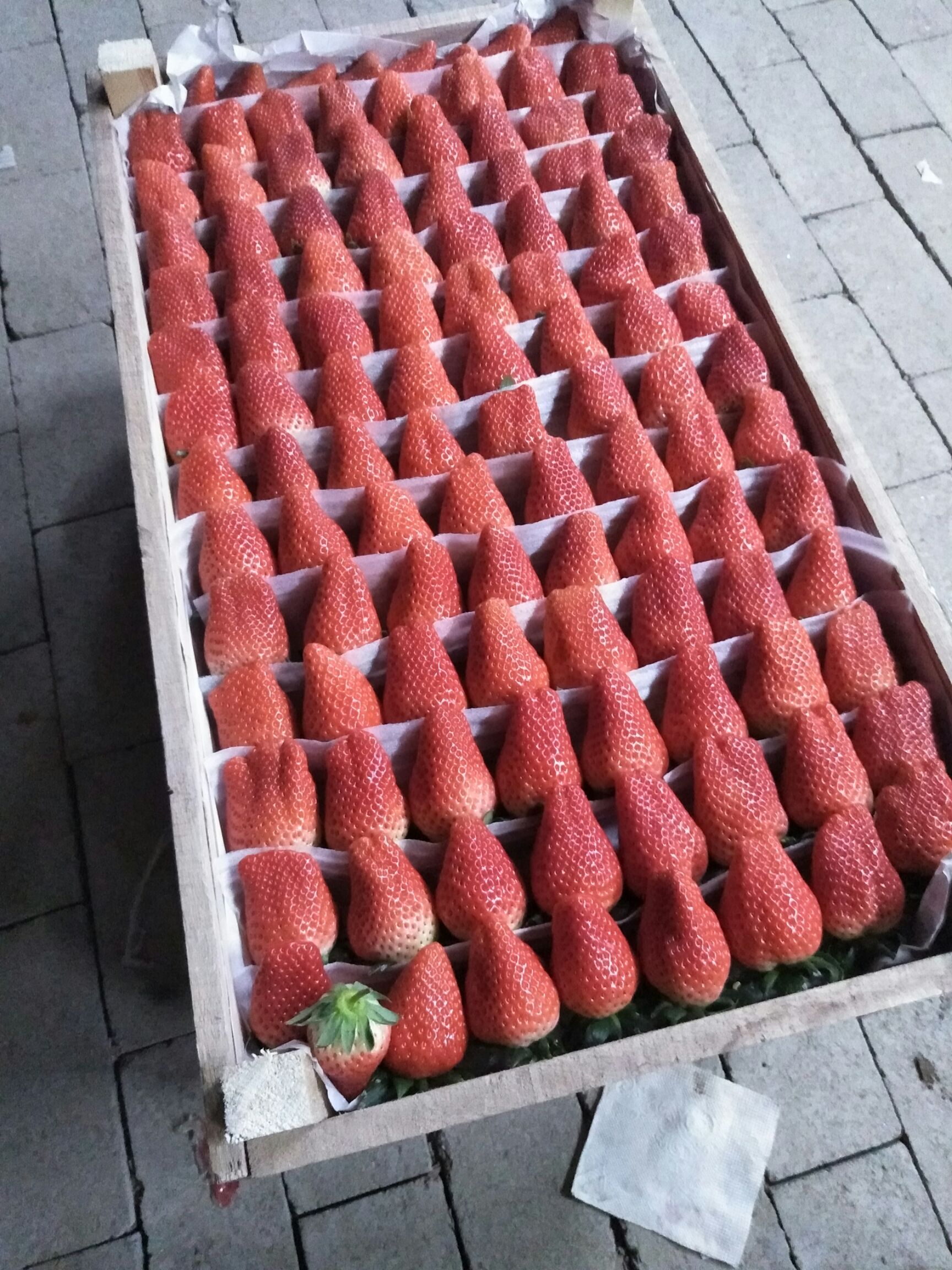 甜宝草莓 30克以上