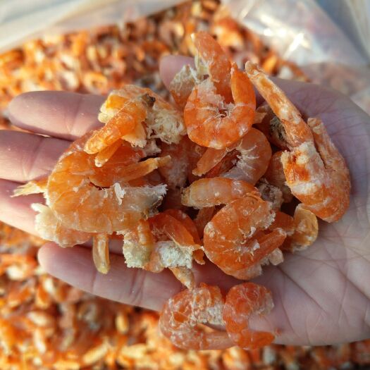 滨州海米干  金钩海米