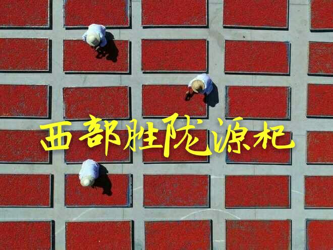 红枸杞 特优级 