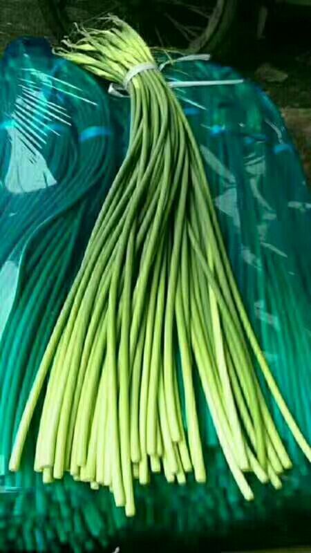 沂水县白帽蒜薹 40~50cm 
