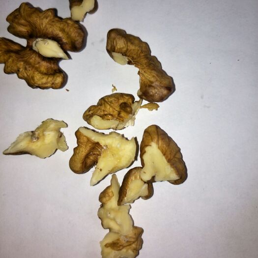 闻喜县薄皮核桃  农家核桃