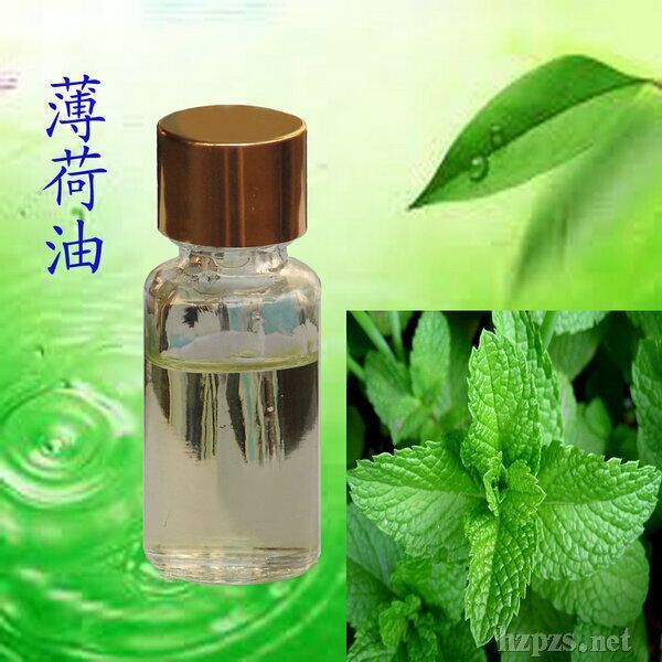 新乡薄荷油 