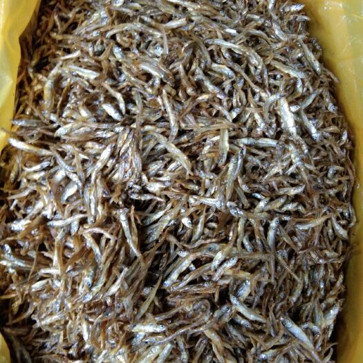 益阳干炸小公鱼 油炸公鱼