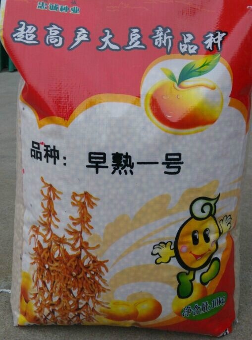 嘉祥县早熟一号 生大豆 1等品