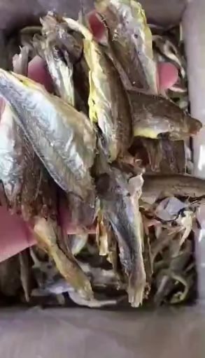 滨州黄鱼干 