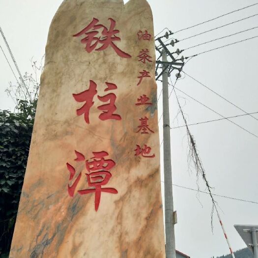 泸溪县野生山茶油 