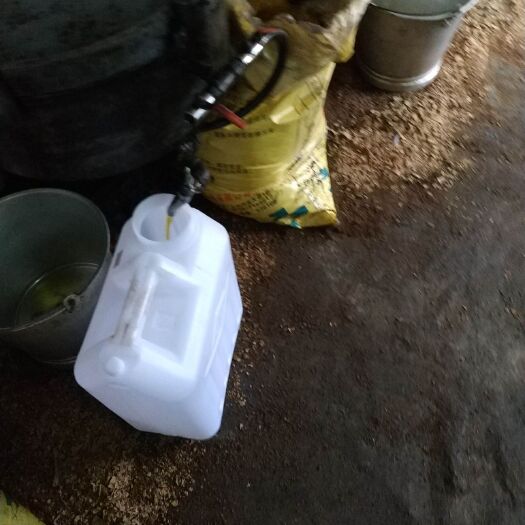 那坡县现榨山茶油 
