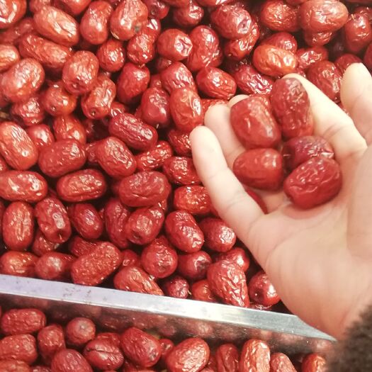 沧县灰枣 一级 