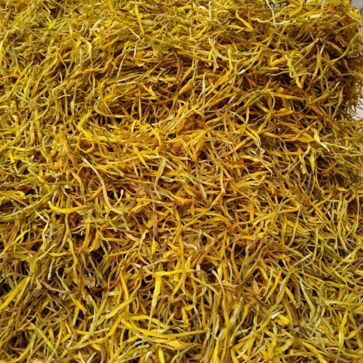 聊城干黄花菜 12-18个月 