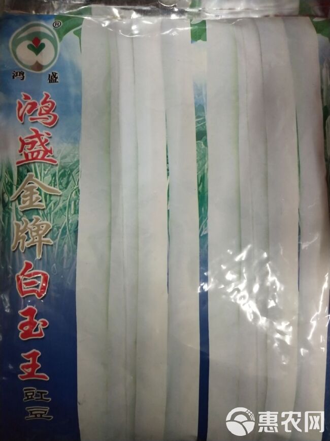 白胖江豆种子  白皮豆角种子  ≥95% 白玉王