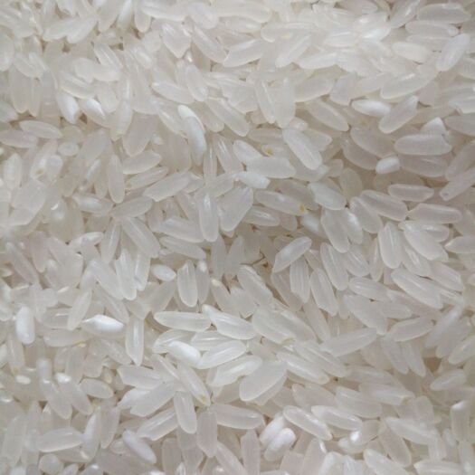 泰来县东北大米 一等品 一季稻 粳米 