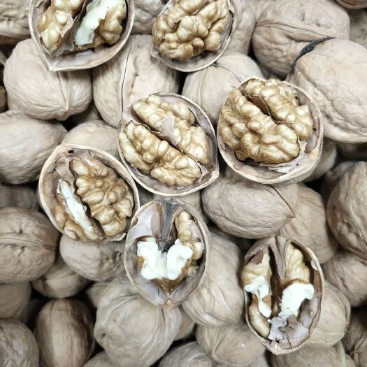 上海新疆185核桃 30mm以上 箱装 去皮