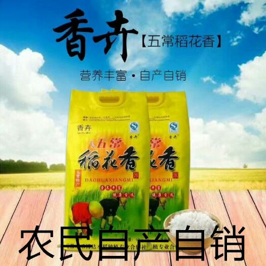五常市五常大米 一等品 晚稻 粳米 