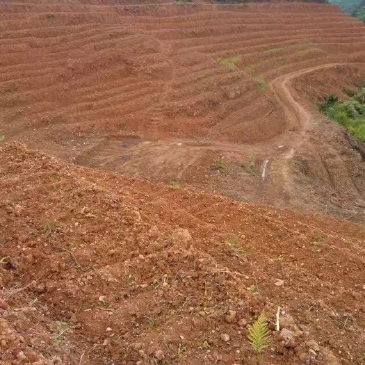 衡山县山地 转让 10~20年 50~100亩 