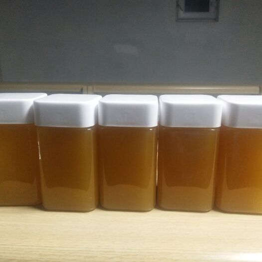 北屯百花蜜 塑料瓶装  2年以上 