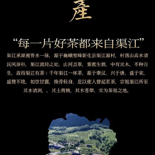 新化县贡芽 一级 散装 