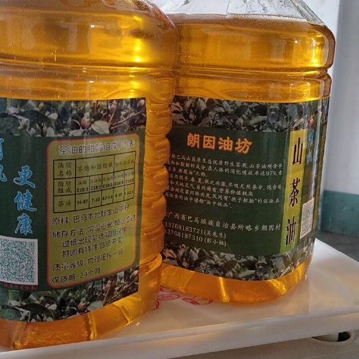 巴马县野生山茶油 