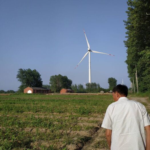 海宁市草桑苗 苏北大苗，特大苗优惠