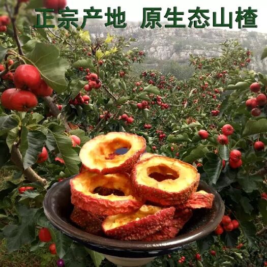 绛县干山楂 袋装 2-3个月 