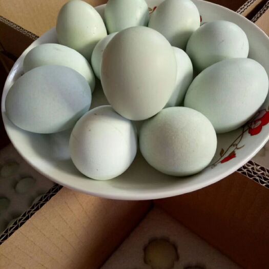 厦门土鸡蛋 食用 箱装 
