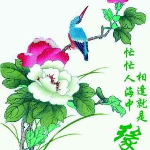 泌阳县地龙 