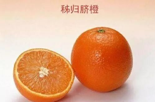宜昌纽荷尔脐橙 65 - 70mm 4-8两 