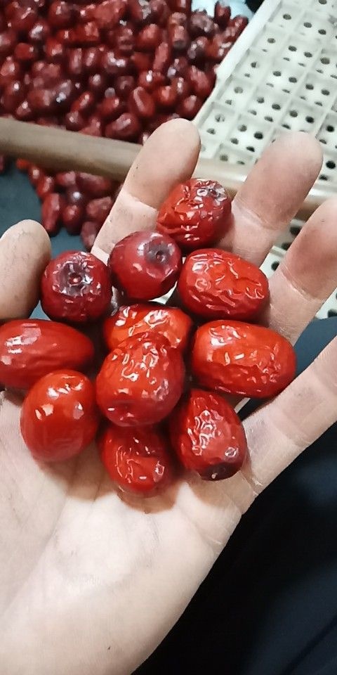 临县新疆大枣 二级 