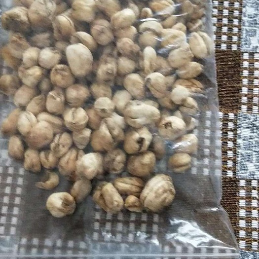 巩留县伊贝母