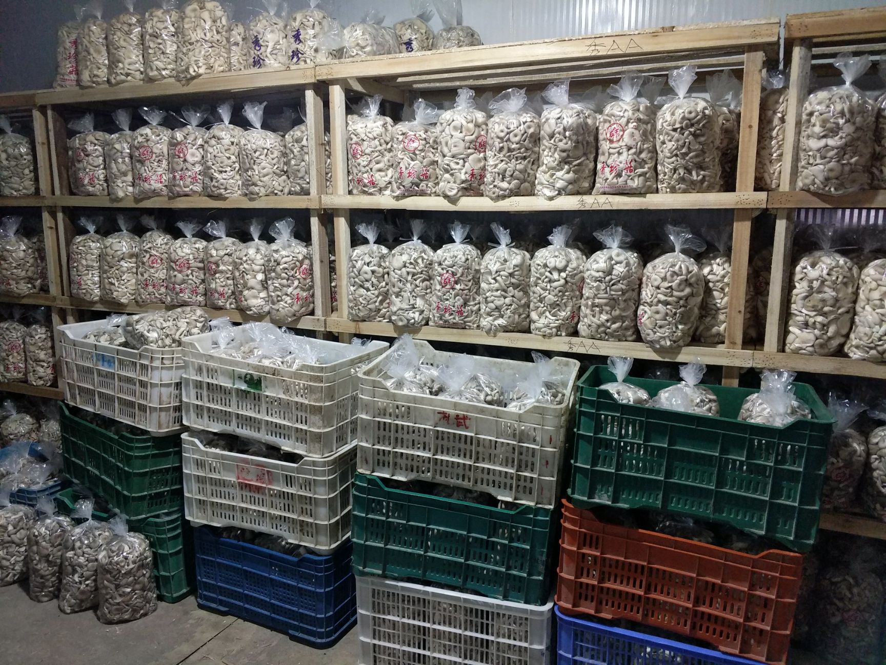 茶陵县姬菇 人工种植 鲜货 