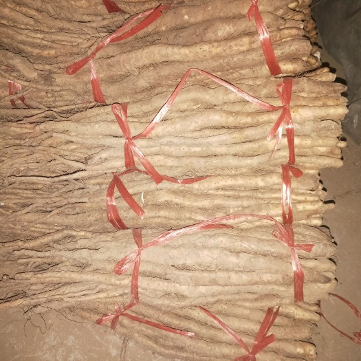 温县铁棍山药 通货 
