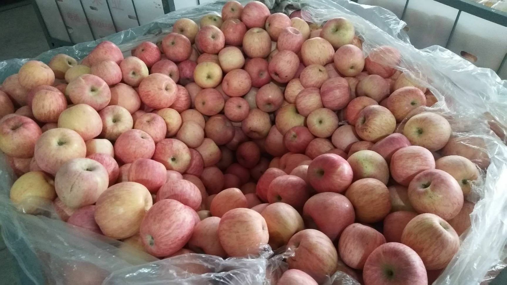 红富士苹果 75mm以上 条红 纸袋 