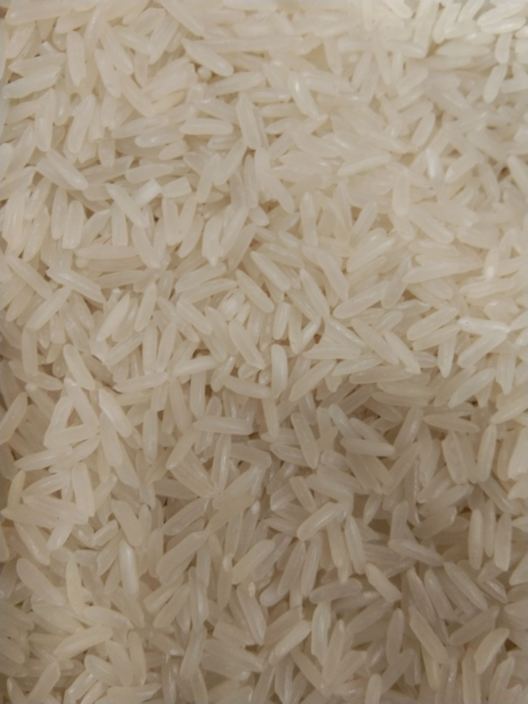 泰国香米 一等品 晚稻 粳米