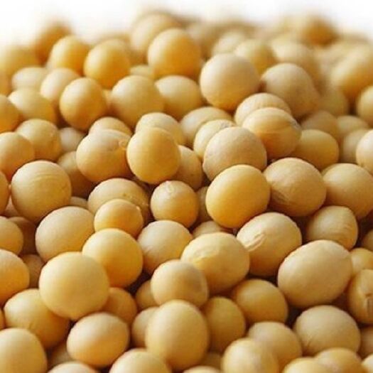 萝北县东北黑龙江大豆 熟大豆 1等品 