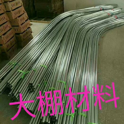 芜湖白鹅苗 