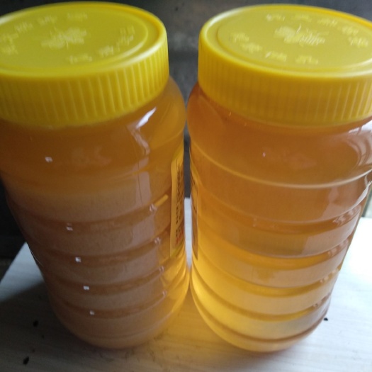 涟水县洋槐蜂蜜 塑料瓶装 2年   槐花蜜