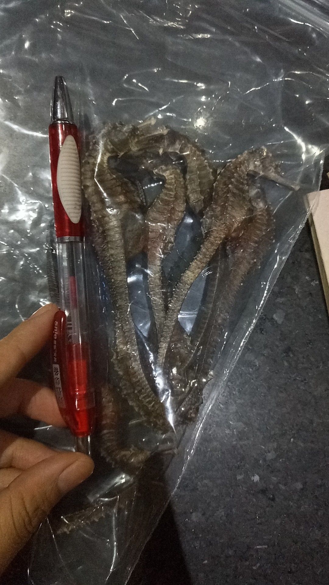 红鱼干 