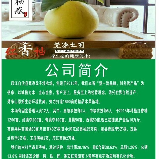 印江县青脆李苗 