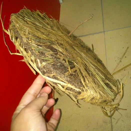 宁都县茶枯 